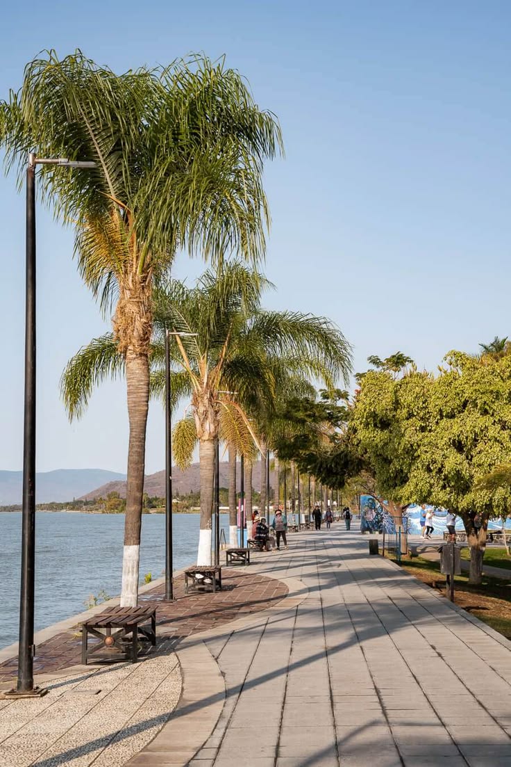 Día 2: LAGO DE CHAPALA
