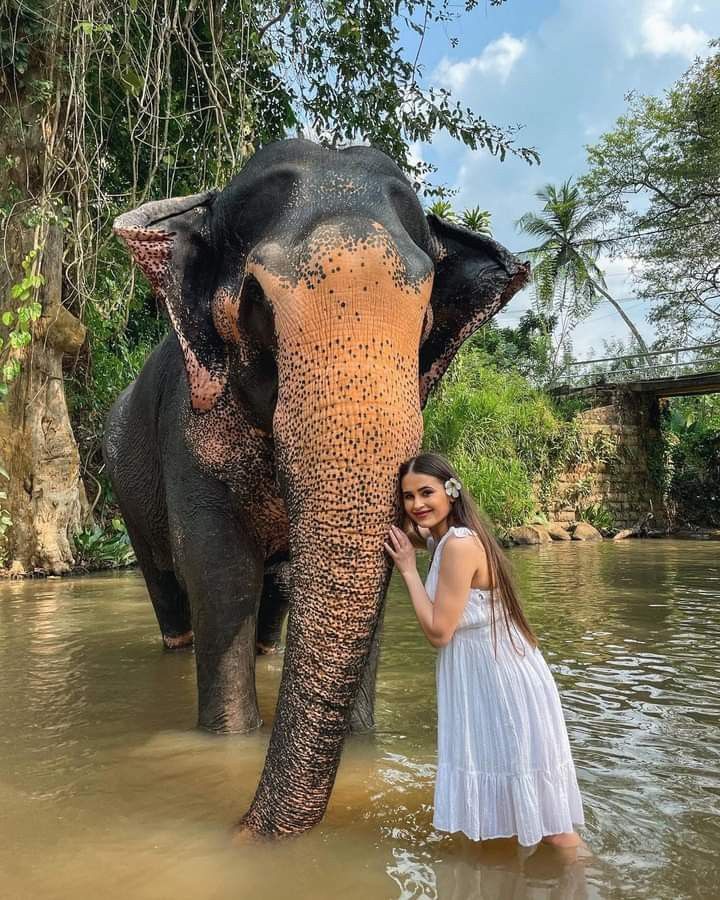 Día 9: CHIANG MAI